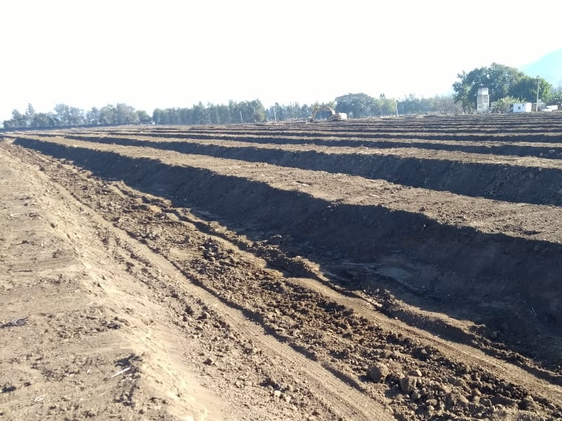 Proyecto de agroindustria: encamados para la siembra de agucate