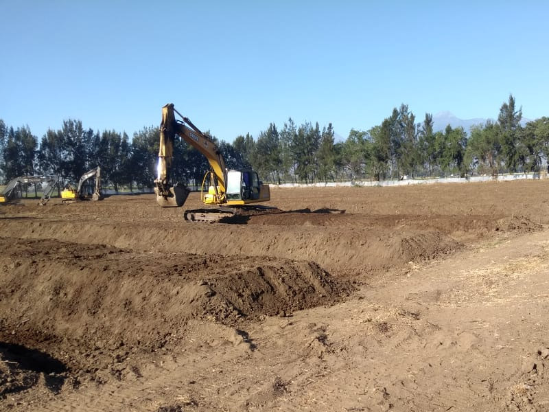 Proyecto de agroindustria: encamados para la siembra de agucate